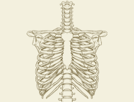 Редкие, но важные случаи: вторичные хондросаркомы грудино-ключичного сочленения
