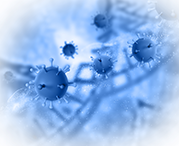 До 80% смертей от хронических неинфекционных заболеваний в России можно предотвратить