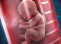 Создана модель прогнозирования оптимального количества эмбрионов для экстракорпорального оплодотворения
