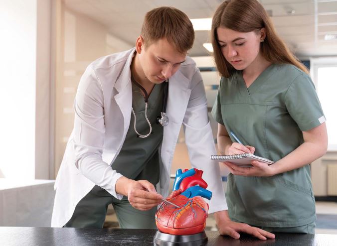 Гиполипидемическая терапия пациентов с сахарным диабетом 2‑го типа: современный взгляд на проблему