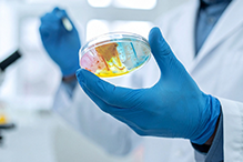 Тактика ведения бактериального вагиноза у женщин в постменопаузе