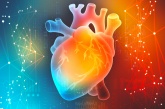 «Школа молодых кардиологов» откроется в Сеченовском университете
