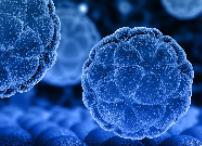 Первично-множественные опухоли: что мешает прогрессу