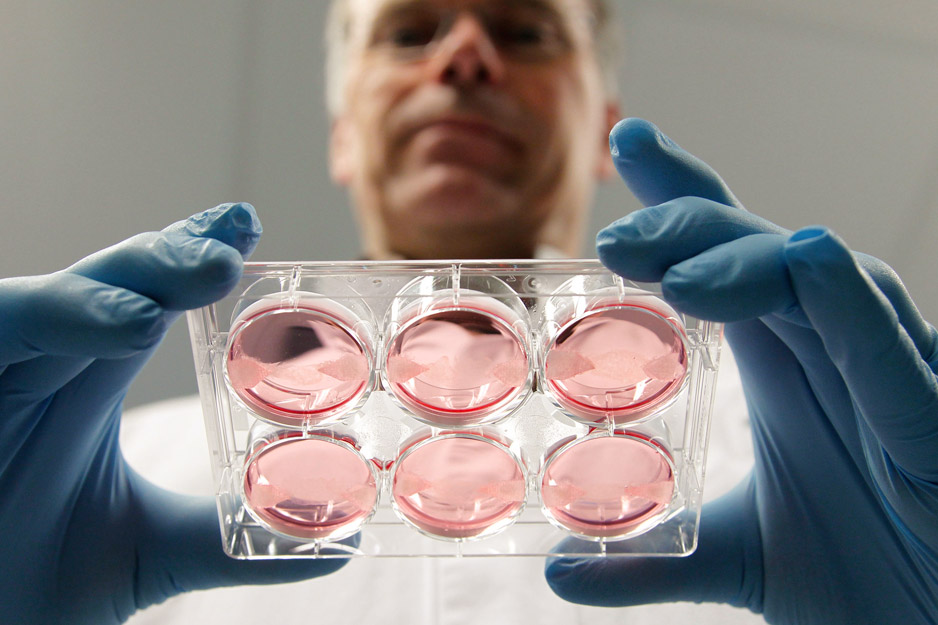 «Сердце на чипе» позволяет тестировать лекарства на тканях, идентичных человеческим
