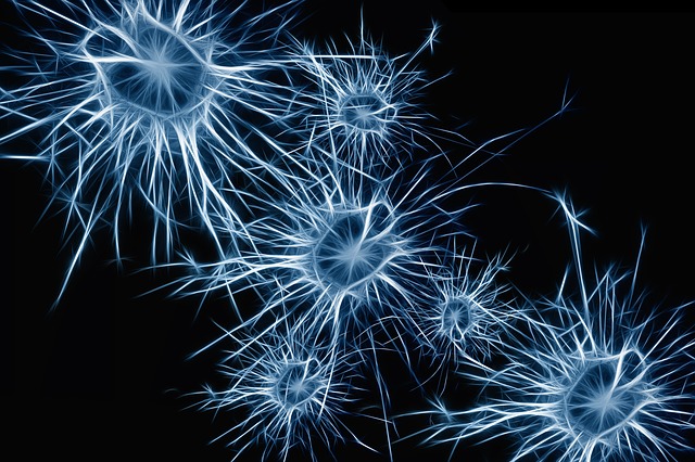 Двигательные нейроны научились выращивать из кожи