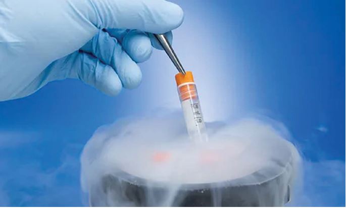 Проблема онкофертильности на современном этапе