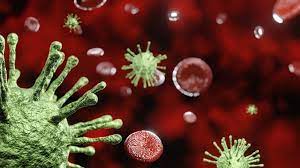 Уроки COVID-19: иммунный тромбоз и антикоагулянты