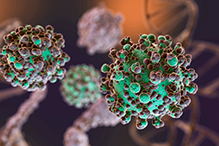 Плановая вакцинация против менингококковой инфекции вновь откладывается
