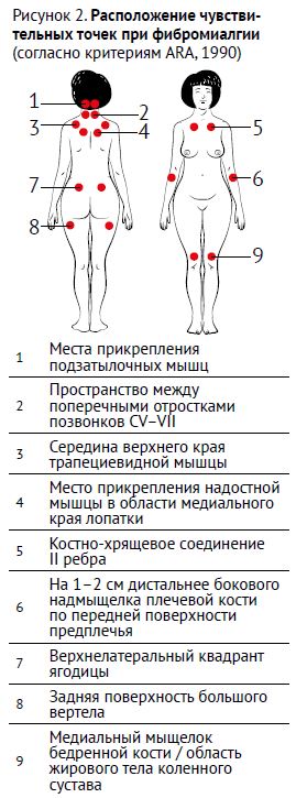 НС 1-26-15.JPG