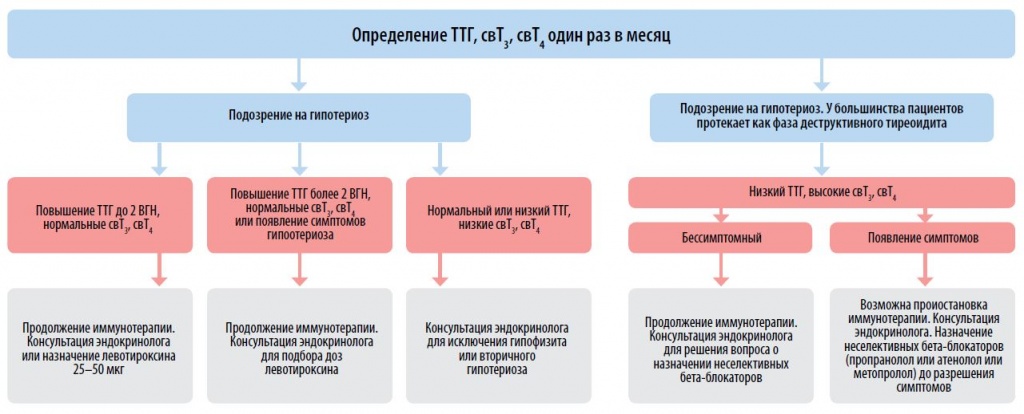 ОС 4-24-19.JPG