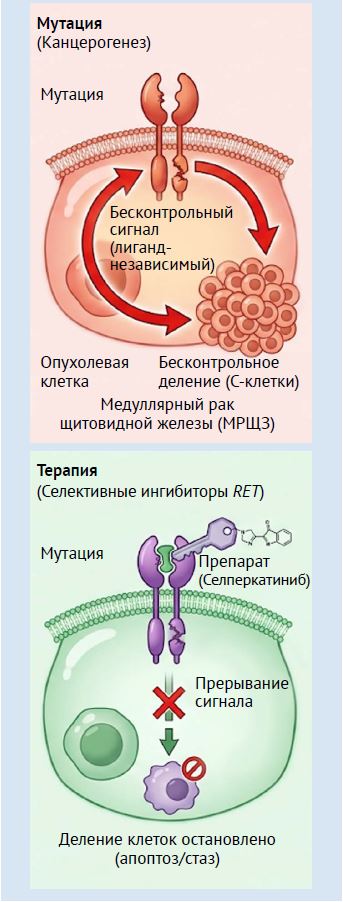 ПС 4-26-21.JPG